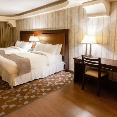 Hotel Plaza San Martin Hotels near Immigration Office