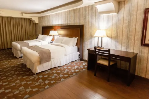 Hotel Plaza San Martin - parkir