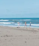 Hotel Serendipity Tortuguero - Beach