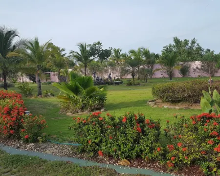 Pink Palace Panama Hotels in Chame