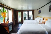 Paloma Cruise