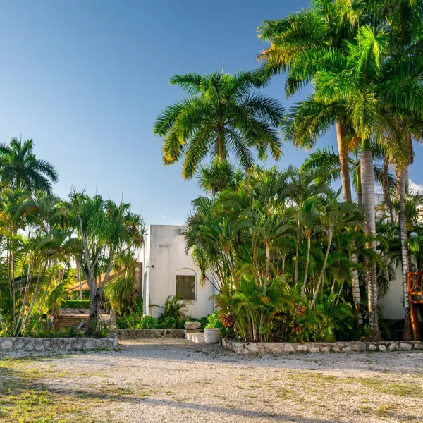 The Vacationers place - Housity