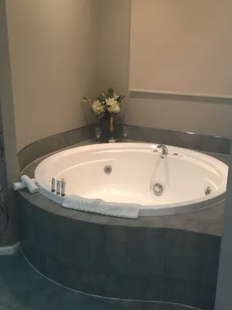 Village Motel Отели в г. Уэймарама