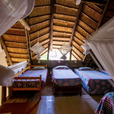 Victoria Falls Backpackers Lodge Hotels near Victoria Falls Railway Station