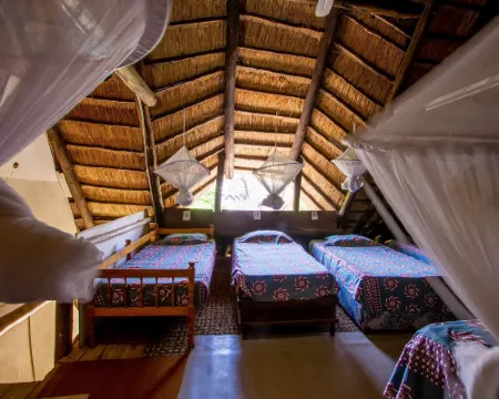 Victoria Falls Backpackers Lodge Hotels in Victoria Falls