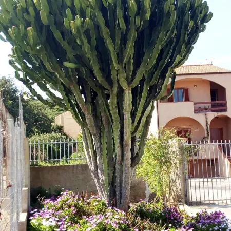 Privacy & Relax in Sardegna