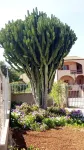Privacy & Relax in Sardegna Hotel dekat Nuraghe di Palmavera