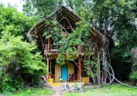 Back of Beyond - Wild Haven Hotel a Dambulla