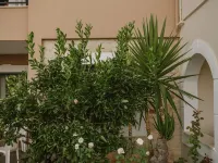 Dionysos Apartments & Studios Hotels in Stalida