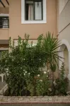 Dionysos Apartments & Studios