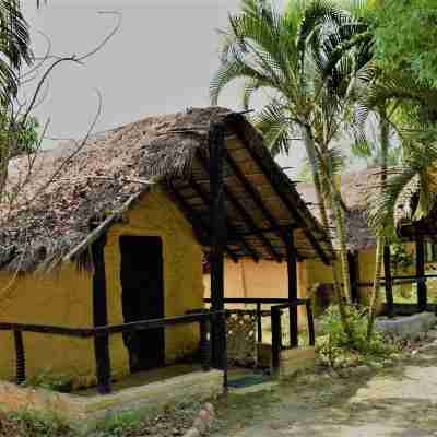 Mango Tree Lodge Rooms