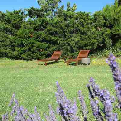 Lou Cardalines Hotel Exterior