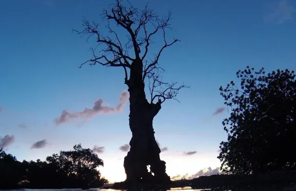 日落灣海灘別墅