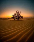 Desert Overnight Camp