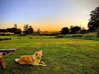 Elderbrook House Hotels in Marlborough