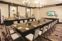 Treasure Island TI Las Vegas - Handwritten Collection - de negocios