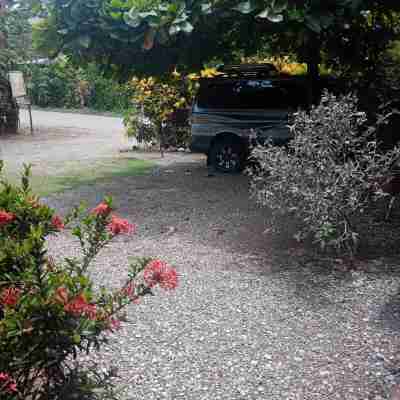 Hostel y Cabinas Tapandua Hotel Exterior
