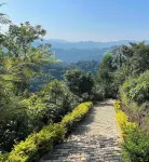 Bwindi Neckview Lodge Hotels in Kinkiizi