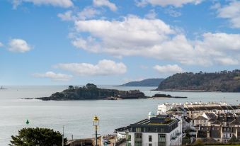 Fox on the Hoe
