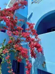 Celeste Naxos Chora