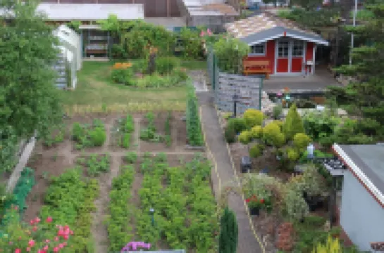 Apartment in Halberstadt