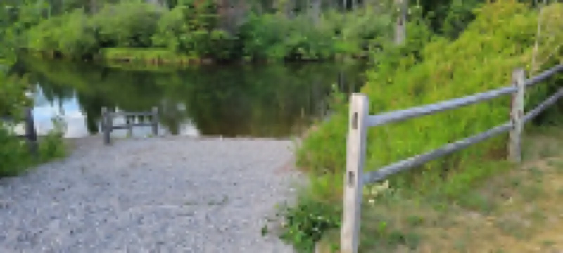 Spacious Four Bedroom Cabin for Northern Escape