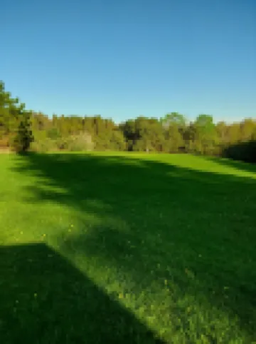 Cabin in the Heart of the Huron National Forest
