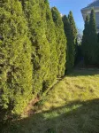 Stunning 3-Bedroom, 2-Bath Home w/ Attic – 38 Minutes from NYC by Train