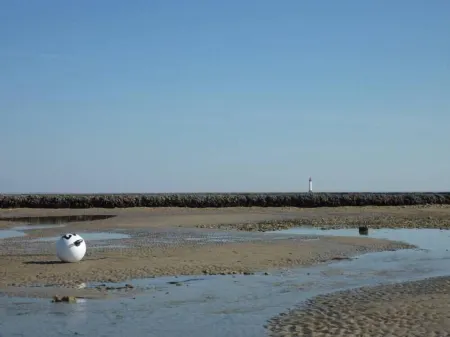 House / Villa - Sainte-Marie-de-Ré Отели в г. Сент-Мари-Де-Ре