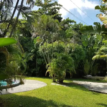 Private villa apartment with pool and within 15 minute walk to 3 beaches.