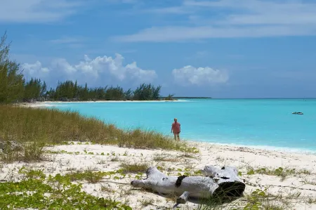 Secluded & Quiet Beachfront Home w/ Beautiful View on Lochabar Bay. Family fun!