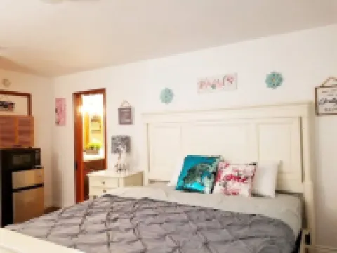 LARGE MASTER BED ROOM WITH PRIVATE ENTRANCE & BATH