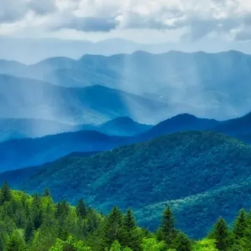 Modern 2 Bed 1 Bath Walking Distance to Downtown