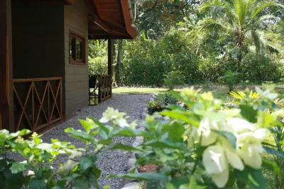 Oasis Apartment - Cahuita - Limon Hotels in 