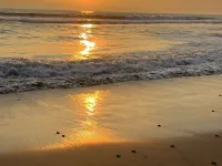 Beautiful 2BR/2BT Beachfront Hotels in Troncones