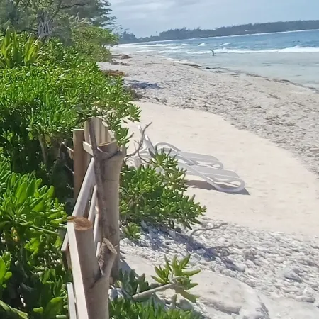 Tehinavai Bungalow: Right on the Ocean, Sandy and Coral Beach, Whale Watching, Moorea