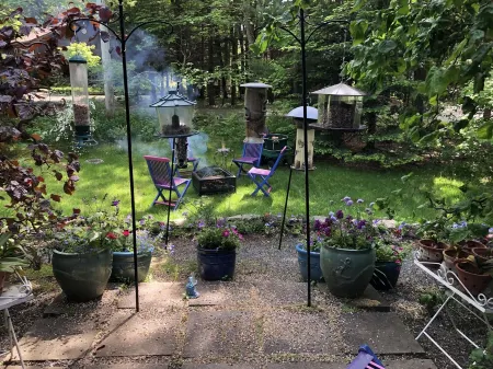 Anny's Treetop on the Quietside Mt Desert Island,& Acadia National Park