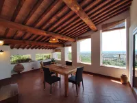 The terrace of Elas