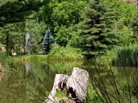 Slice of Heaven. Vacation or Workation - Perfect Get-Away by the River and Trail