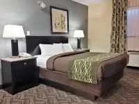 Lacombe Motor Inn Hotels in Lacombe