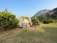 Bara Camp Hotels near Sariska National Park