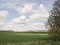 Burford Cottage - Homestays