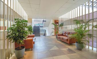 Hotel Cason International