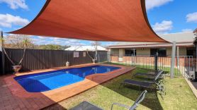 ソルトブッシュ モーター イン