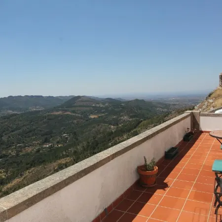 Casa da Arvore