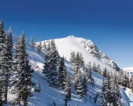 Grand Lodge Condo in the Heart of Mt Cb 1 Bedroom Condo - No Cleaning Fee! by RedAwning Hotels in Mount Crested Butte