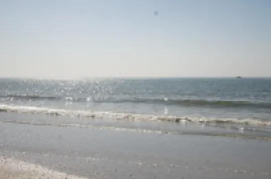 Beachside Resort Motel Hotels in Treasure Island