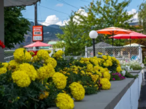 Traveler's Motel Penticton Hotels in Penticton
