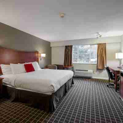 Gibsons Garden Hotel Rooms