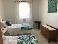 Wake up to Pelicans cruising the beach!